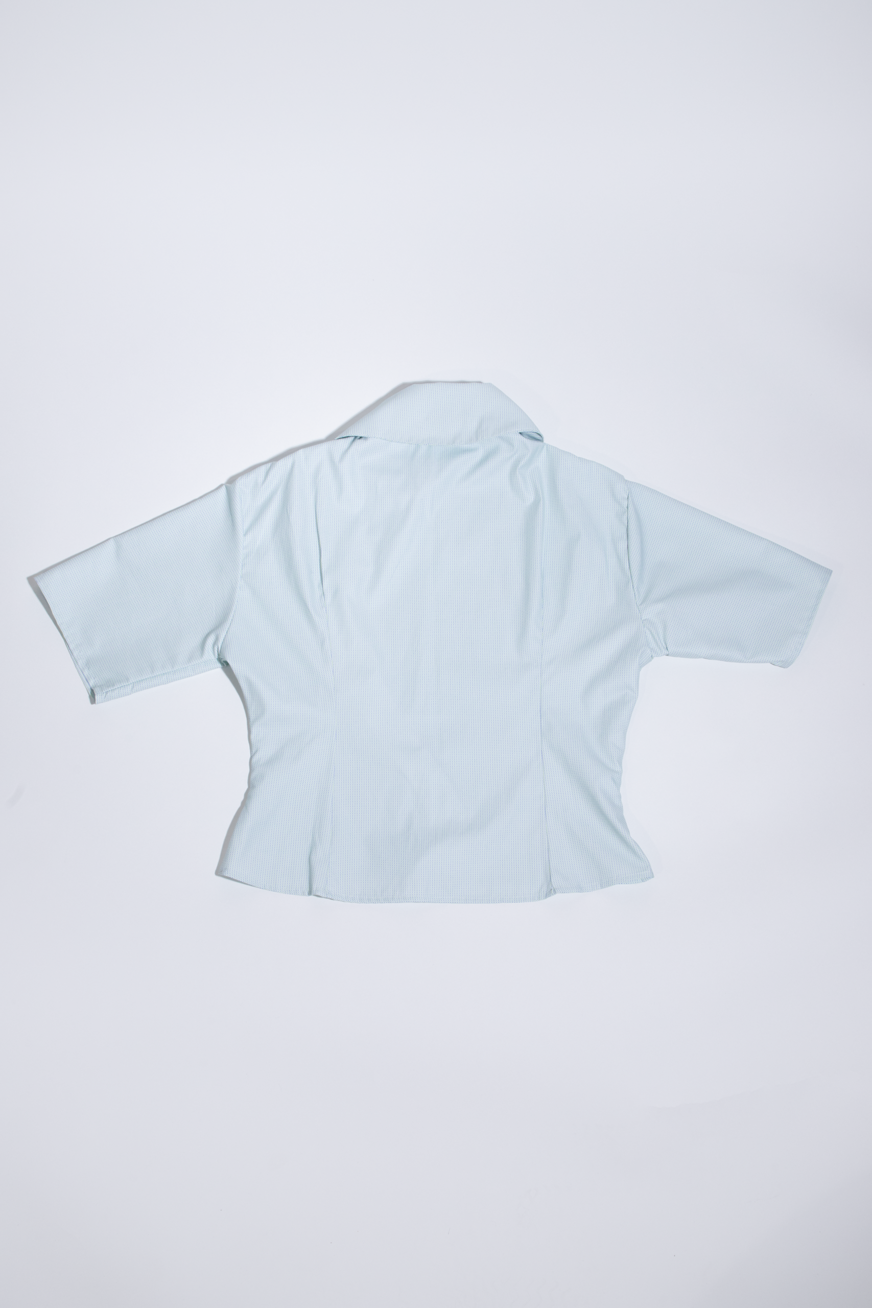 computervirus blusaolaazulcamisa