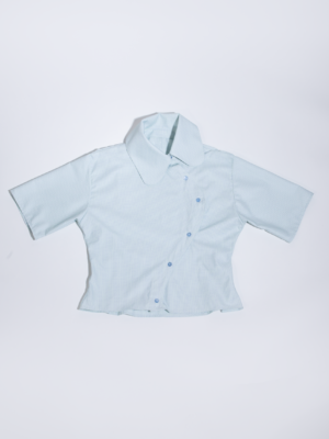 computervirus blusaolaazulflores